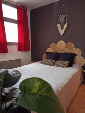 Plein centre Perpignan, à deux pas du Castillet, Appart T2 75m2